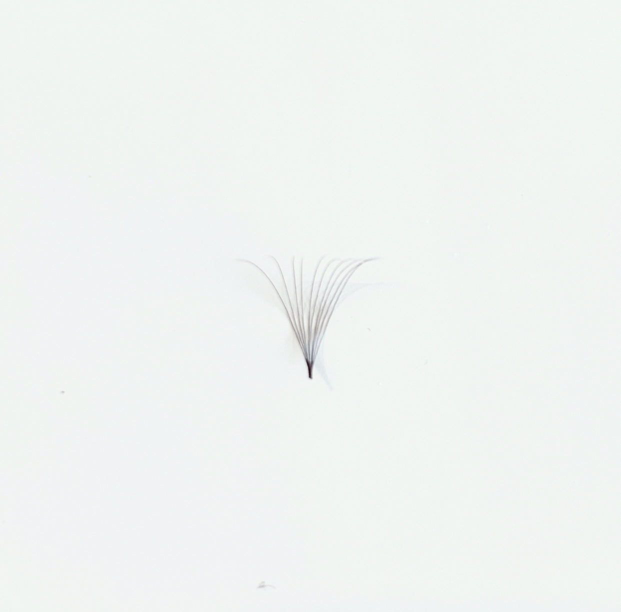 Premade Fans .05 10D (Short Base, Original Label)